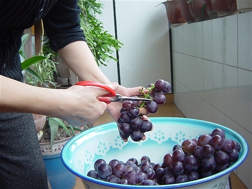 redwine-ex02.jpg
